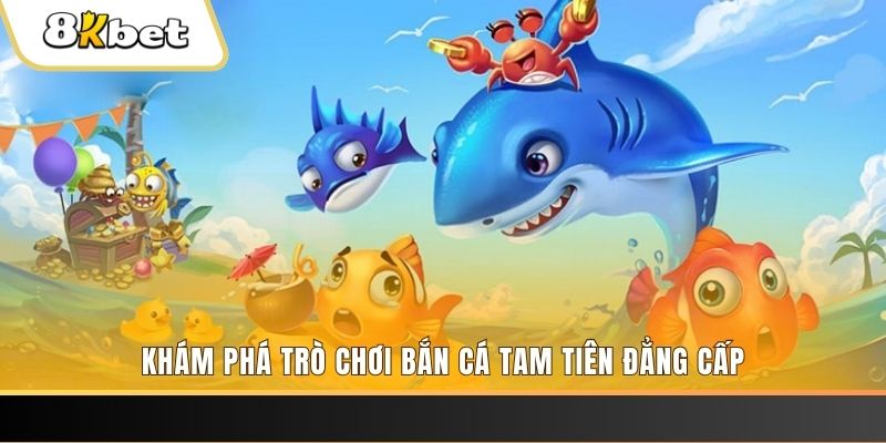 lucky ball thị trường baccarat là gì