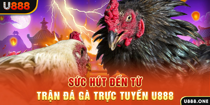 lucky ball đá gà trực tiếp c1
