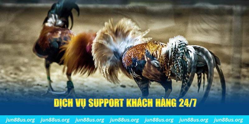 lucky ball ÁT CHỦ BÀI GIÀNH LẤY ZHUANG NIUNIU ( XEM 4 LÁ )