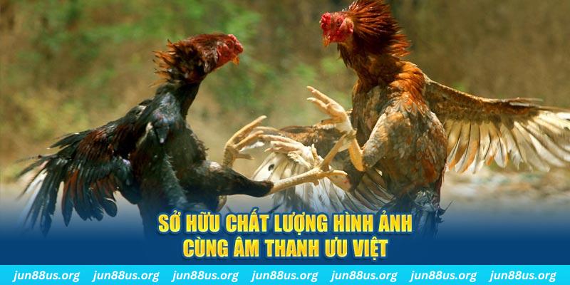 lucky ball PP Điện Tử