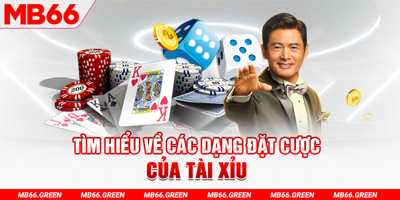 lucky ball what is a virtual casino