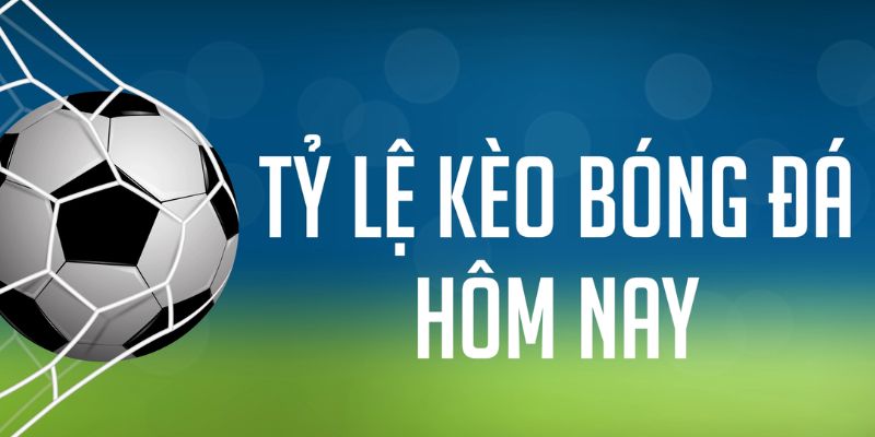 lucky ball gà chọi c1 mới nhất