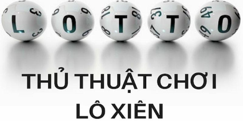 lucky ball trực tiếp đá gà thomo