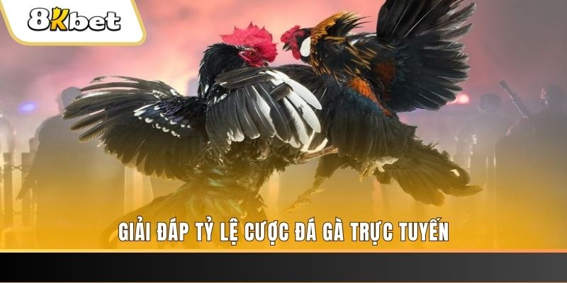 lucky ball xổ số đài miền trung