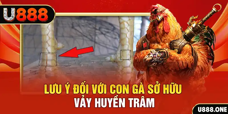 lucky ball kết quả xổ số miền nam hôm nay