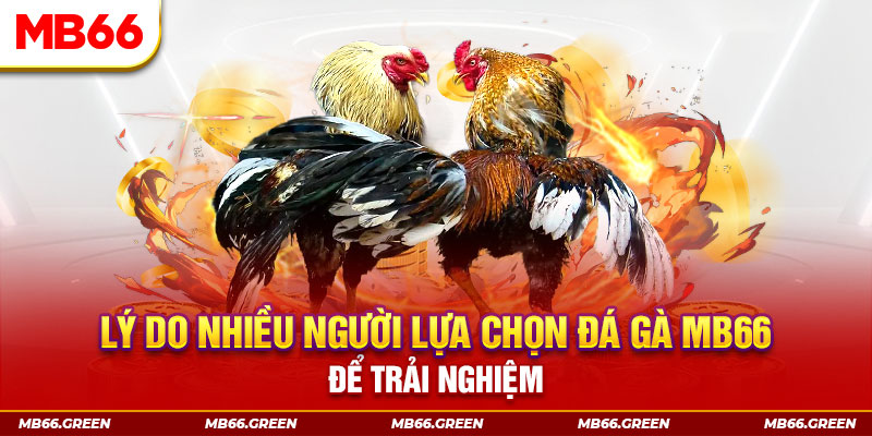 lucky ball xổ số miền bắc thứ bảy hàng tuần