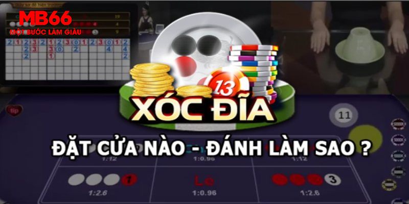 lucky ball baccarat là môn gì