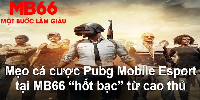 lucky ball VA Bắn cá