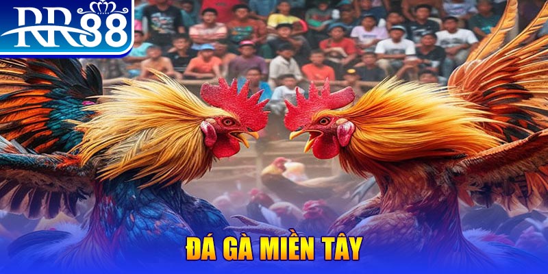 lucky ball no hu doi thuong ai