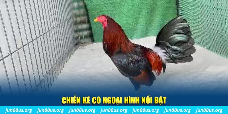 lucky ball game nổ hũ là gì