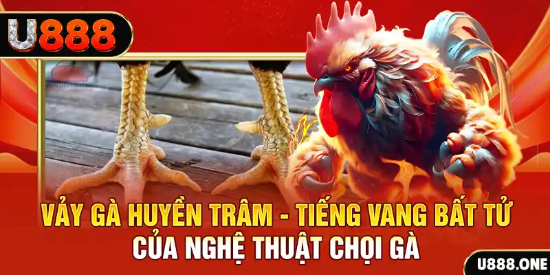 lucky ball xổ số miền bắc ngày hôm nay