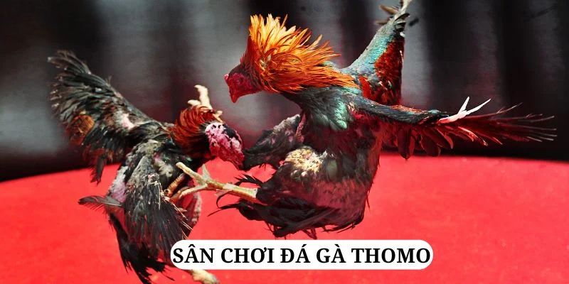lucky ball trực tiếp xổ số miền bắc