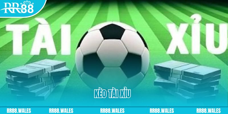 lucky ball casino gồm những gì